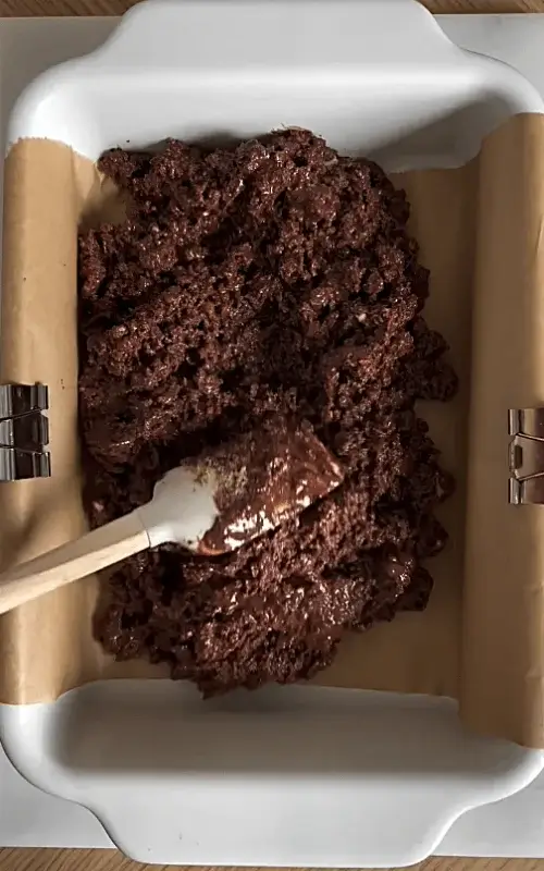 chocolate coconut squares recipe