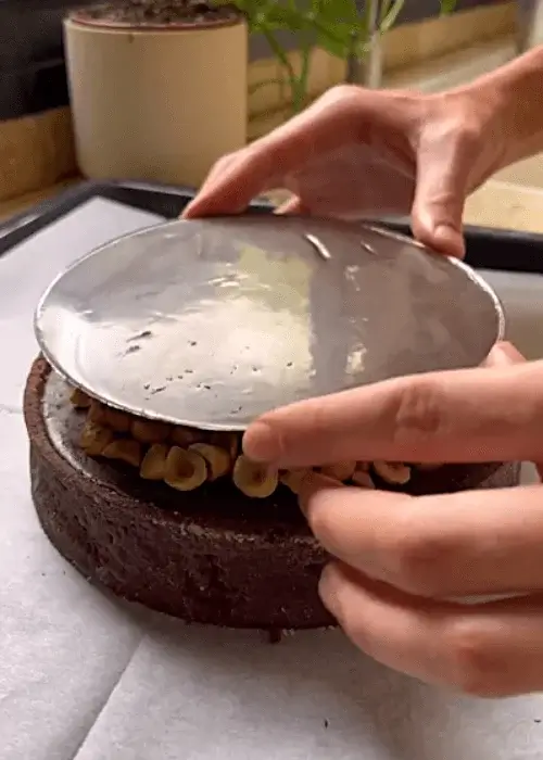 chocolate hazelnut tart recipe