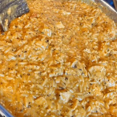 creamy chicken orzo recipe
