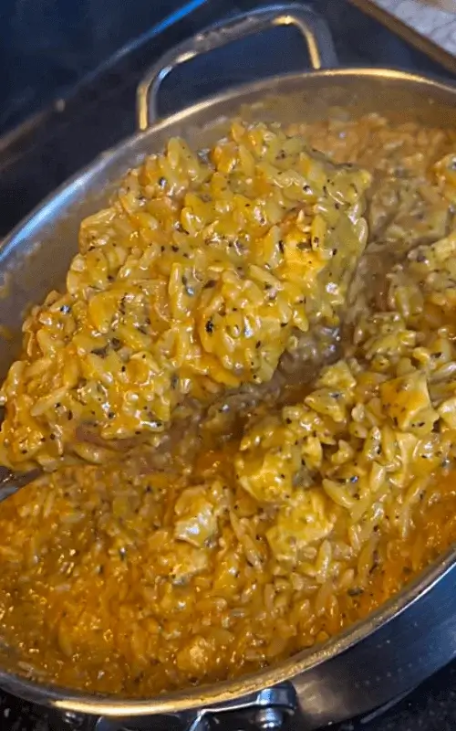 creamy chicken orzo recipe