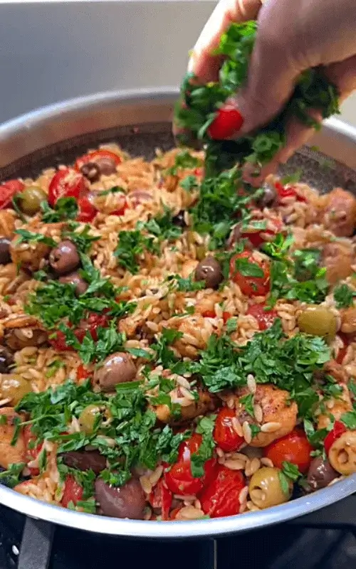 mediterranean orzo chicken recipe
