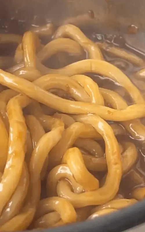 cooked udon noodles recipe